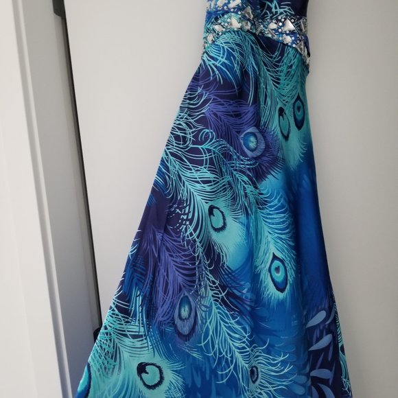 Peacock print dress, gown, evening gown, wow dress, gorgeous, elegant dress - Picture 7 of 7